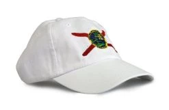 Ann Arbor T-shirt Co. American 50 States Pride Flag Baseball Low Profile Dad Hat For Men Women