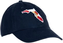 Ann Arbor T-shirt Co. American 50 States Pride Flag Baseball Low Profile Dad Hat For Men Women -T-Shirt Store 31bmwBcFrjL. AC