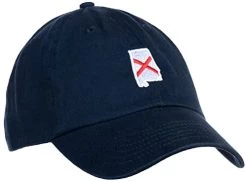 Ann Arbor T-shirt Co. American 50 States Pride Flag Baseball Low Profile Dad Hat For Men Women