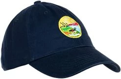 Ann Arbor T-shirt Co. American 50 States Pride Flag Baseball Low Profile Dad Hat For Men Women -T-Shirt Store 31iwWGvm5L. AC