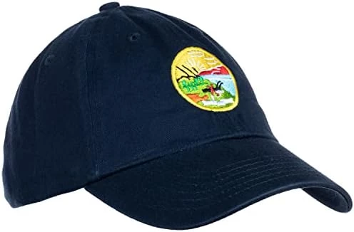 Ann Arbor T-shirt Co. American 50 States Pride Flag Baseball Low Profile Dad Hat For Men Women 16 Ann Arbor T-shirt Co. American 50 States Pride Flag Baseball Low Profile Dad Hat For Men Women - Image 14