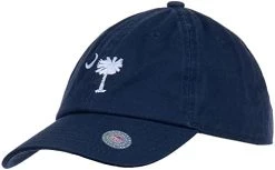 Ann Arbor T-shirt Co. American 50 States Pride Flag Baseball Low Profile Dad Hat For Men Women -T-Shirt Store 31v6fLfNbiL. AC