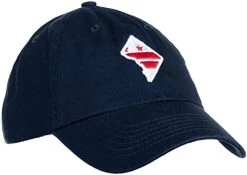 Ann Arbor T-shirt Co. American 50 States Pride Flag Baseball Low Profile Dad Hat For Men Women -T-Shirt Store 31zOHKh55eL. AC