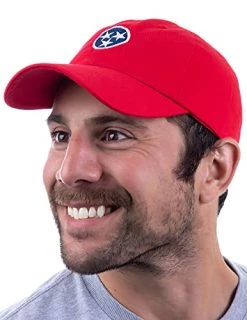 Ann Arbor T-shirt Co. American 50 States Pride Flag Baseball Low Profile Dad Hat For Men Women