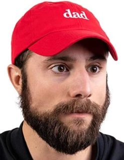Ann Arbor T-shirt Co. Dad Hat | Funny Embroidered Baseball Cap Gift For Men Daddy Husband Father Joke -T-Shirt Store 41B4SuarGhL. AC