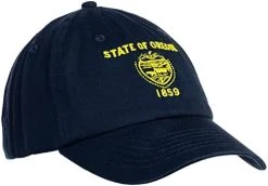 Ann Arbor T-shirt Co. American 50 States Pride Flag Baseball Low Profile Dad Hat For Men Women -T-Shirt Store 41KTlhXYpcL. AC 5
