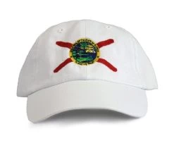 Ann Arbor T-shirt Co. American 50 States Pride Flag Baseball Low Profile Dad Hat For Men Women -T-Shirt Store 41QLQjU9HNL