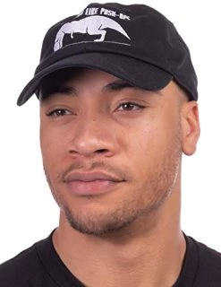 Ann Arbor T-shirt Co. Assorted Funny Dad Humor Joke Baseball Hats -T-Shirt Store 41SapsEn44L