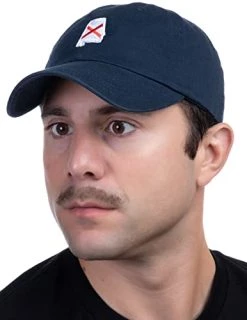 Ann Arbor T-shirt Co. American 50 States Pride Flag Baseball Low Profile Dad Hat For Men Women -T-Shirt Store 41eaEadAikL