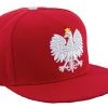 Epic Polish Eagle Snapback | Kotwica Hat Poland Pride Polska Unisex Baseball Cap -T-Shirt Store 41xJRJhJYDL