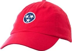 Ann Arbor T-shirt Co. American 50 States Pride Flag Baseball Low Profile Dad Hat For Men Women -T-Shirt Store 41xLROu5UcS