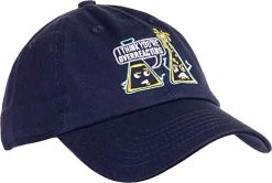 Ann Arbor T-shirt Co. Assorted Funny Dad Humor Joke Baseball Hats