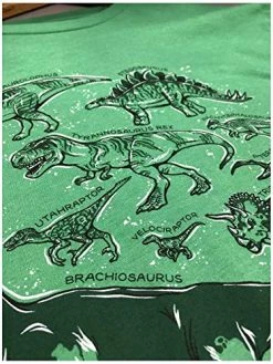 Dinosaur Species | Dino Fan Party Costume T-Rex Raptor Shirt Men Women T-Shirt -T-Shirt Store 516UrS40kZL