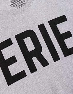 Erie | Classic Retro City Grey Pennsylvania PA Lake Presque Isle Men Women T-Shirt-(Adult,L) 10 Erie | Classic Retro City Grey Pennsylvania PA Lake Presque Isle Men Women T-Shirt-(Adult,L) -T-Shirt Store 51H63N7wTTL