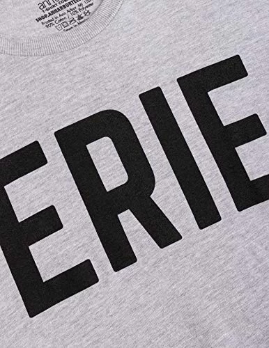 Erie | Classic Retro City Grey Pennsylvania PA Lake Presque Isle Men Women T-Shirt-(Adult,L) 6 Erie | Classic Retro City Grey Pennsylvania PA Lake Presque Isle Men Women T-Shirt-(Adult,L) - Image 4