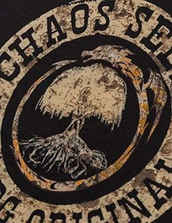 Chaos Seeds Patch | Officially Licensed The Land LitRPG Mist Village Aleron Kong Women's V-Neck T-Shirt-(Vneck,L) Black -T-Shirt Store 51LSzNvhhAL