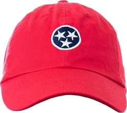 Ann Arbor T-shirt Co. American 50 States Pride Flag Baseball Low Profile Dad Hat For Men Women -T-Shirt Store 51NQpPy9BFS