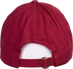 Ann Arbor T-shirt Co. BAE: Best Aunt Ever | Cute Funny Niece Nephew New Baby Dad Style Baseball Hat For Women -T-Shirt Store 51SttHpKl6L