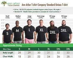 Chicago City Flag Skyline | Vintage Retro-Feel Triblend T-Shirt For Men Or Women -T-Shirt Store 51bEloQ2C1L 1