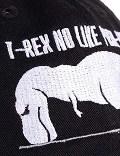 Ann Arbor T-shirt Co. Assorted Funny Dad Humor Joke Baseball Hats -T-Shirt Store 51wGk3QqODL