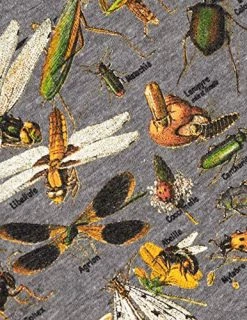 Vintage Insect Art | Cool Bug Beetle Bees Science Teacher Biology Women Shirt Top 7 Vintage Insect Art | Cool Bug Beetle Bees Science Teacher Biology Women Shirt Top -T-Shirt Store 61FZcAwOdAL