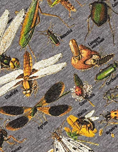 Vintage Insect Art | Cool Bug Beetle Bees Science Teacher Biology Women Shirt Top 4 Vintage Insect Art | Cool Bug Beetle Bees Science Teacher Biology Women Shirt Top - Image 2