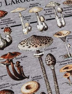 Vintage Mushrooms Illustration | Morel Hunter Shroom Nature Art Men Women T-Shirt 13 Vintage Mushrooms Illustration | Morel Hunter Shroom Nature Art Men Women T-Shirt -T-Shirt Store 61iPh8SdHKL